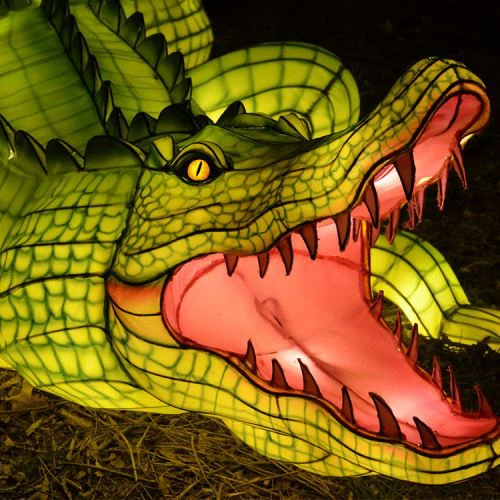 פנס משי מהחי