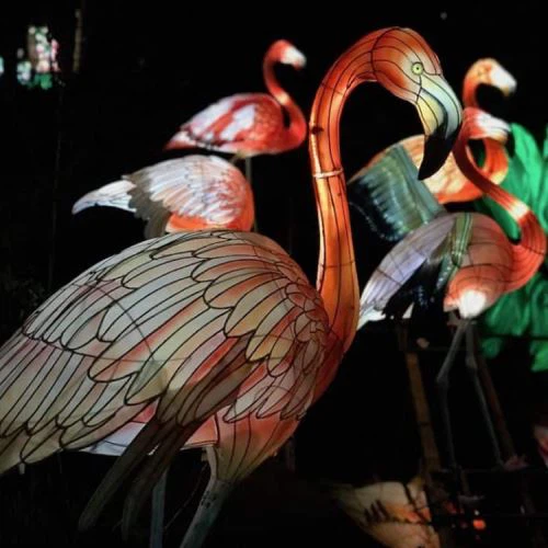 מופע אירועי פנס פנס Chiense נפלא